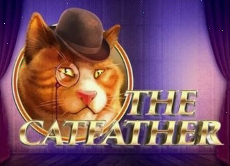 The Catfather Pragmatic